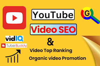 do best youtube video seo to improve your video organic rank