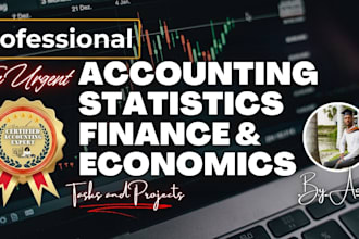 do accounting, statistics, finance and economics tasks