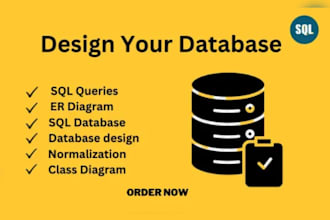do professional database design, sql queries with er and schema diagrams