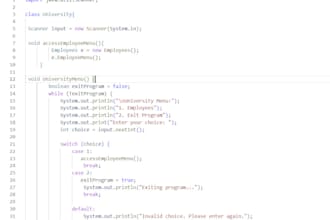 provide professional programming services in c, c plus plus and java