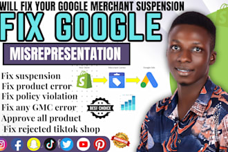 set up google merchant center, fix misinterpretation and shopping ads campaign