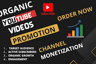 grow  youtube channel by fast organic promotion
