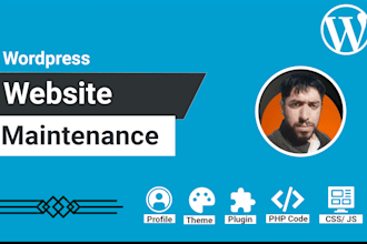 provide maintenance and support for your wordpress website