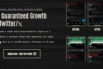 do twitter marketing and organic growth for monetization