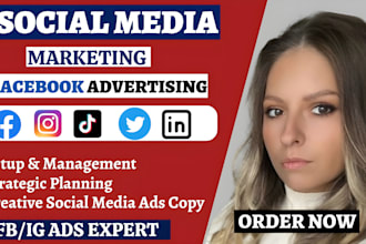 setup shopify facebook ads, instagram campaign, fb marketing, shopify promotion