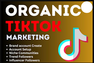 do viral organic tiktok video promotion to increase subs and engagement