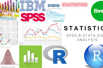 do data analysis in spss, r studio and excel with report