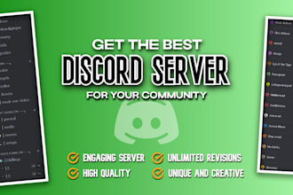 create a professional, fun and clear discord server