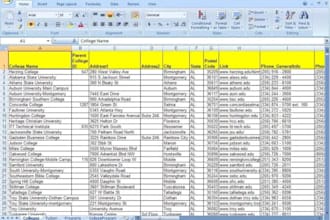expert data entry specialist