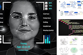 develop and train machine learning and neural network models using python