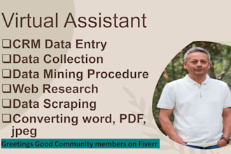 do your CRM data entry, minning, scraping, data analyst, converting procedure
