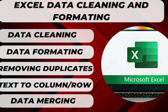 do ms excel data cleaning or data cleanings and formatting