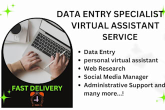 be your personal virtual assistant and data entry specialist