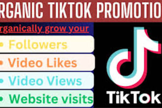 setup tiktok ads, tiktok promotion, tiktok marketing and booktok promotion