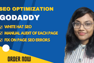 do godaddy website SEO optimization