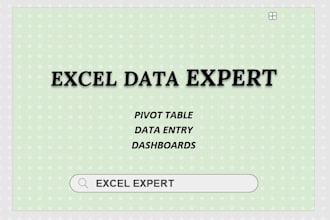create excel graphs, pivot tables, vlookup and data entry