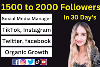 grow and promote tiktok, instagram, twitter, facebook and youtube professionally