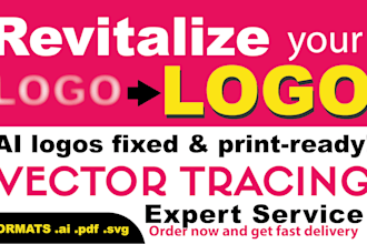 turn your ai or lowres design into a printready vector