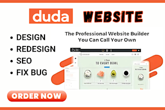 build responsive duda website, duda design redesign, duda seo, fix duda bug