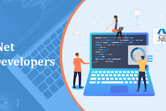 expert dot net and sql server developer