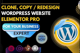 redesign copy clone duplicate customize, wordpress website, using elementor pro