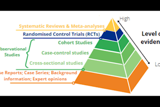 do meta analysis and systematic review on any topic