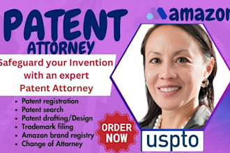 be your patent lawyer, search, provisional patent application, trademark filing