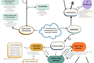 design colorful mind or concept map within 24 hours