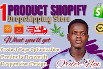 build one product store dropshipping store one product shopify website