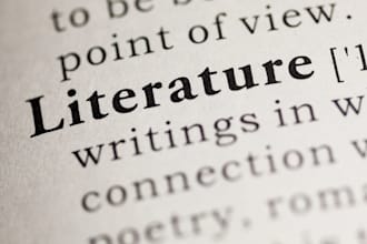 write critique essays, poetry analysis, chapter summary or synopsis