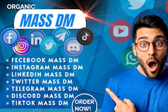 send instagram mass dm facebook bulk direct messages to your target audience