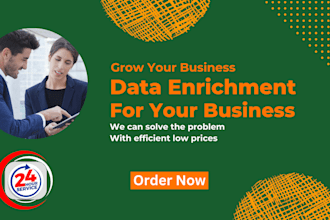 do data enrichment, data appending and data entry