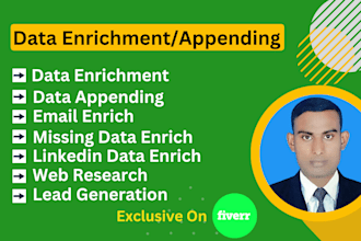 do data enrichment, data appending and lead research