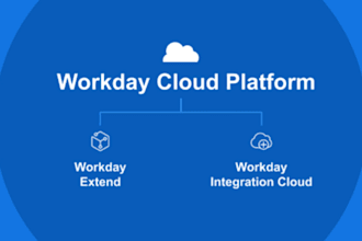 adapt, extend, and integrate workday for your unique needs