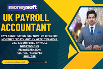 provide expert UK payroll services ensuring hmrc compliance and handling pension