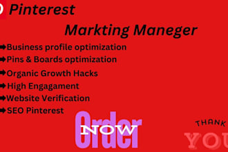 your business growth expert pinterest marketing  SEO services