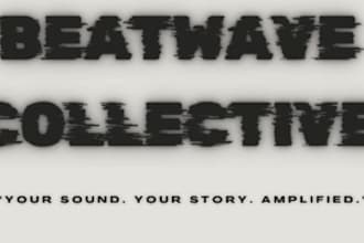 be you house music producer house, afro house, tech house, disco, edm