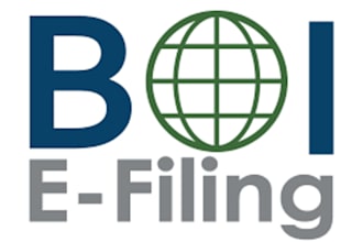 file a boi report for your llc