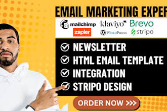 setup email template html newsletter mailchimp wordpress klaviyo brevo stripo