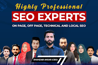 do wordpress website SEO, onpage, ofpage, speed optimization