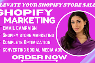 promote, manage shopify store, boost shopify store sales ecommerce marketing