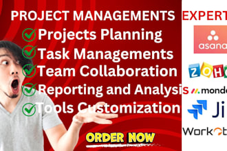 setup monday jira adobe workfront workotter confluence asana zoho projects CRM