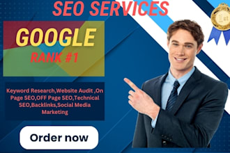 provide  full monthly seo services for google first page ranking