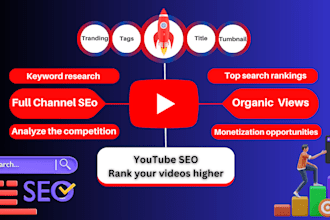 do  youtube video SEO and  promotion professionally