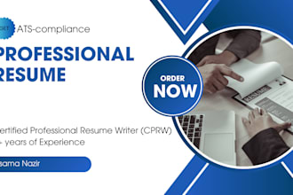 deliver a 24 hour professional resume writing service