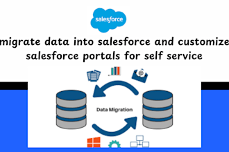 migrate data into salesforce and customize salesforce portals for self service