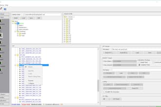 remote code and full diagnostic on your bmw