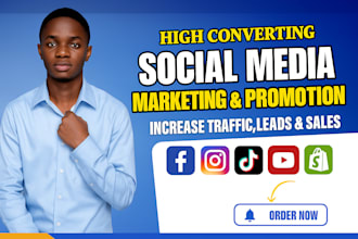 run and manage facebook ads, instagram ads, and shopify marketing campaigns