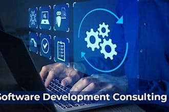 provide top tier website and app development consultation