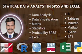 do statistical data analysis in spss and excel